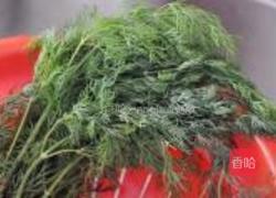 茴香猪肉饺的做法图解3