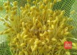 自发黄豆芽的做法图解5