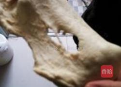 芝麻小面包的做法图解3