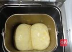 牛奶面包的做法图解11