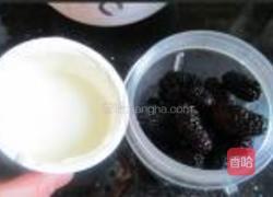 桑果酸奶饮的做法图解7