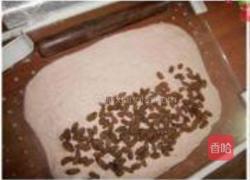 酒香葡萄干面包的做法图解8