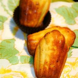 原味玛德琳蛋糕的做法[图]