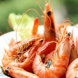 上海油爆虾的做法[图]