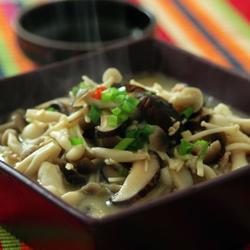 鸡汤煲菌菇的做法[图]
