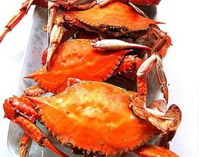 老板鱼烧豆腐[图]