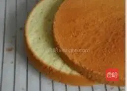 可爱小狗蛋糕的做法图解4