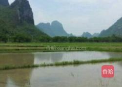 童年小龙虾的做法图解1