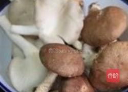 鲜菇猪红汤的做法图解4