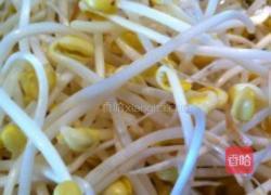 培根炒黄豆芽蒜苗的做法图解3