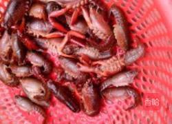 家常红烧龙虾的做法图解1