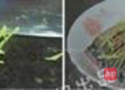 清蒸鲩鱼的做法图解2