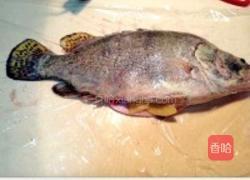 腌鲜鱼的做法图解2