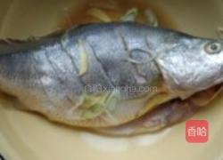 家焖黄花鱼的做法图解1