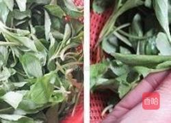 马兰头的做法图解1