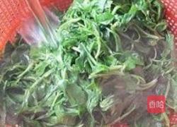 马兰头的做法图解4