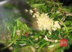 蒜蓉炒茼蒿的做法图解3