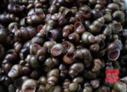 炒田螺的做法图解2