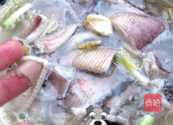 萝卜瓜瓜VS老板鱼的做法图解4