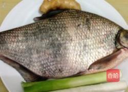 孔雀开屏的做法图解1