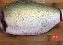 孔雀开屏的做法图解2