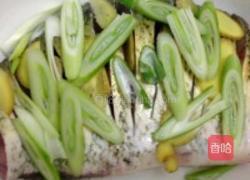 孔雀开屏的做法图解4