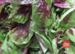 蒜蓉红汁苋菜的做法图解1