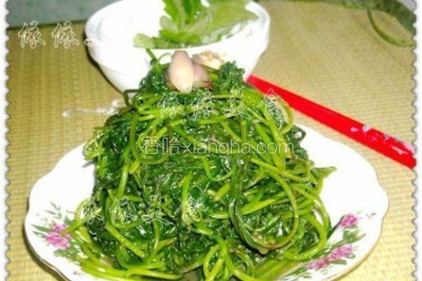 虾酱炒红薯叶