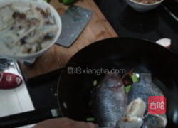 清炖罗非鱼的做法图解4