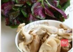 苋菜鲜蘑的做法图解1