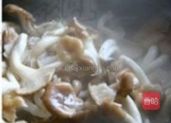 苋菜鲜蘑的做法图解4