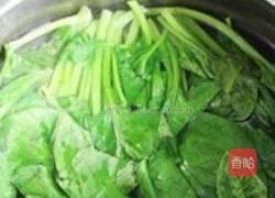 芥末菠菜墩的做法图解3