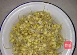 酸菜雨的做法图解4