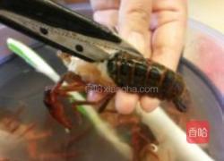 香辣口味虾的做法图解2