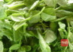 酒香豆苗的做法图解1
