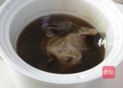 灵芝花胶煲斑鸠的做法图解8