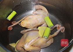 枣杞乳鸽汤的做法图解1