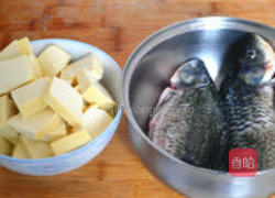鲫鱼豆腐汤的做法图解1
