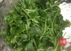 麻辣香菜拌鸭肝的做法图解3