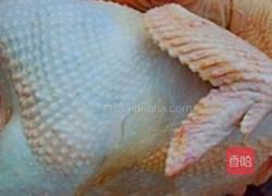 鲜鲍鱼鸡汤的做法图解7