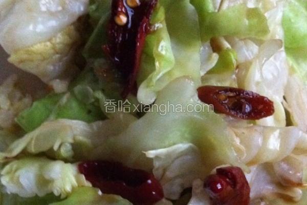 爽口包菜