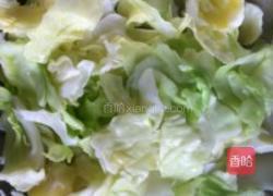 爽口包菜的做法图解4