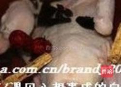 首乌防党黑糯米煲乳鸽的做法图解9