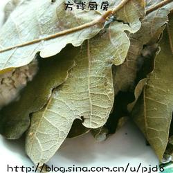 粘耗子的做法[图]