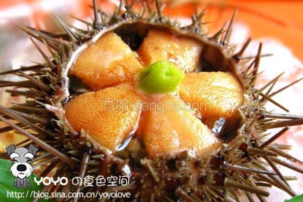 海胆刺身