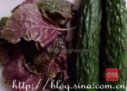 紫苏拌黄瓜的做法图解1
