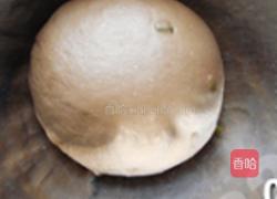可可提子排包的做法图解3