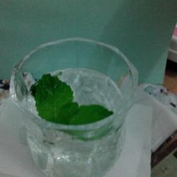 薄荷雪碧的做法[图]