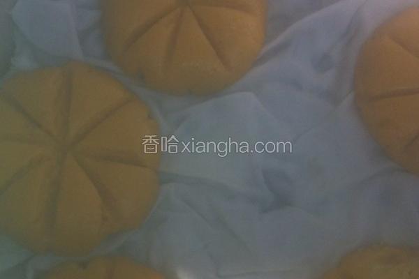 小南瓜