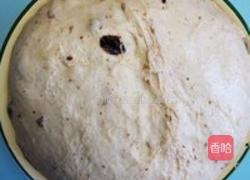 小麦胚芽面包的做法图解6